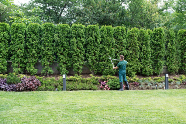 Lawn Pest Prevention in Nashwauk, MN